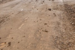 20210501_075954